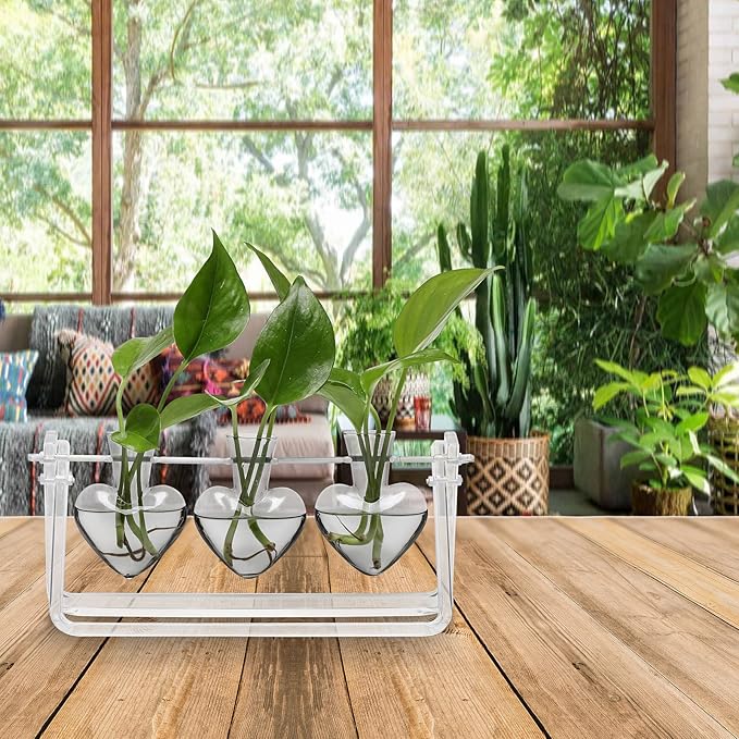 Clear Plant Terrarium Propagation Stations with Acrylic Stand Birthday Gifts for Women Office Home Decor
