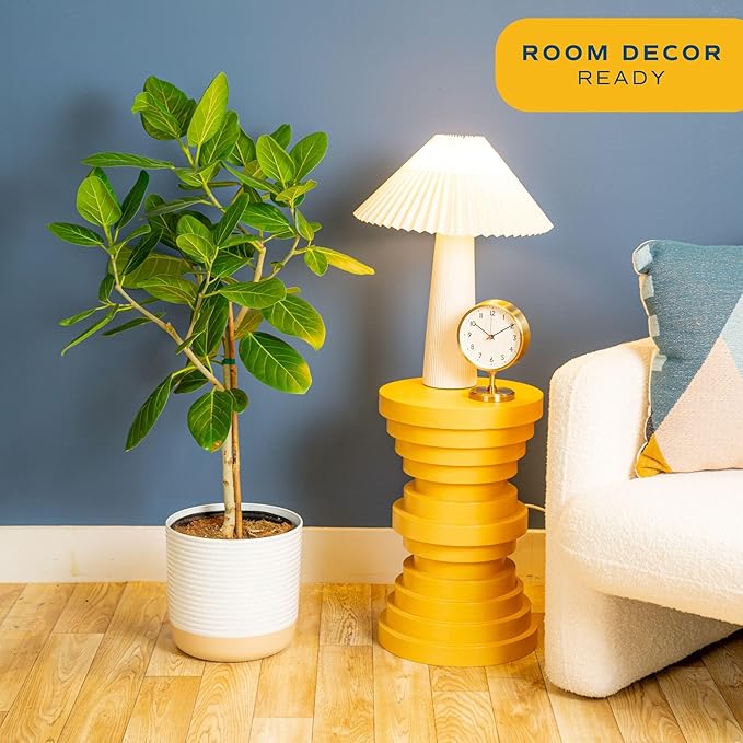 Costa Farms Ficus Audrey Tree Live Plant | 3-4 Ft. Tall Floor Plant | 10-Inch Minimal Decor Pot | Easy to Grow Houseplant & Air Purifying Room, Office, and Home Decor