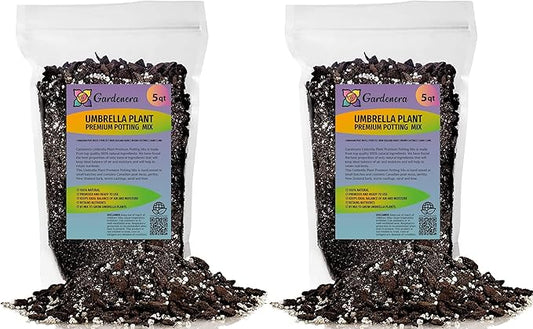 Umbrella Plant Premium Potting Mix - 10 Quart - Nourish Your Plants with Nature's Finest Ingredients (2 Bags of 5 Quart)