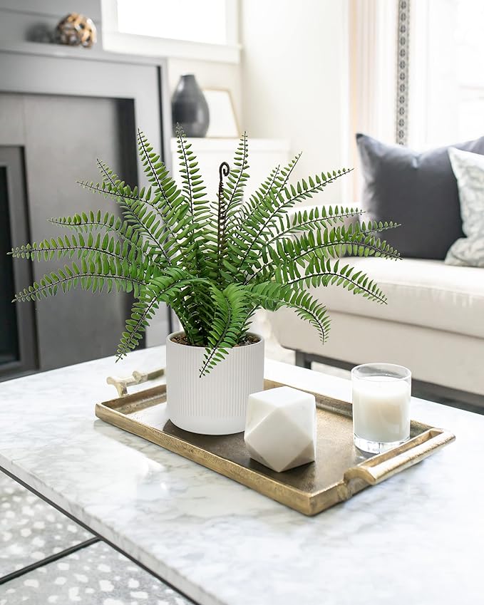 DILATATA Faux Plant Indoor in Ceramic Pot 16" Artificial Potted Boston Fern Fake House Plants for Desk Office Bathroom Garden Decoration