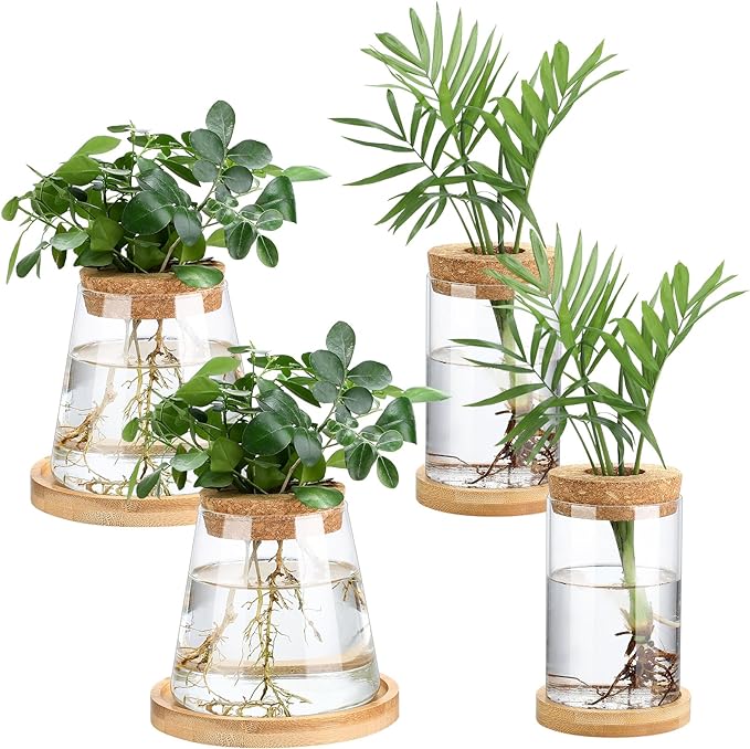 Layhit 4 Pcs Plants Propagation Stations vases Glass Planters with Wooden Lid and Bamboo Stand for Hydroponic Plants Gardening Gifts for Women Mom Home Office Tabletop Decoration(Stylish Style)