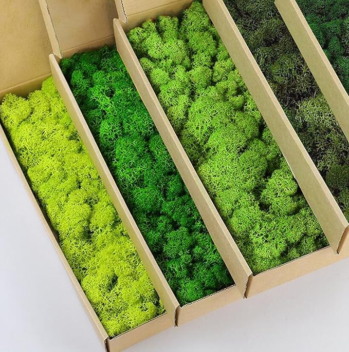 Preserved Reindeer Moss Natural Green DIY Kit Gardenning Art Wall Decor Florist Decor Easter Table Decor Wedding