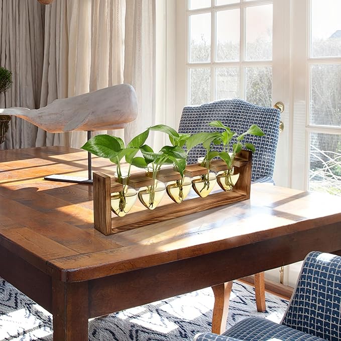 Plant Terrarium Hanging Propagation Stations Gift for Women Plant Lover air Plant Holder with Wooden Stand Heart Glass