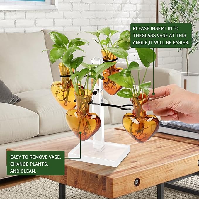 Plants Propagation Stations Plant Terrarium Kit Gift for Women Birthday Glass Planters for Indoor Plants Home Office Decor Acrylic Plant Accessories - 4 Love Hear Vase