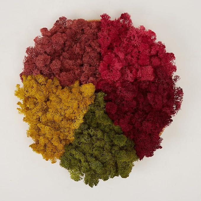 Preserved Reindeer Moss Natural Green DIY Kit Gardenning Art Wall Decor Florist Decor Easter Table Decor Wedding