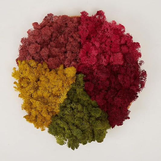 Preserved Reindeer Moss Natural Green DIY Kit Gardenning Art Wall Decor Florist Decor Easter Table Decor Wedding