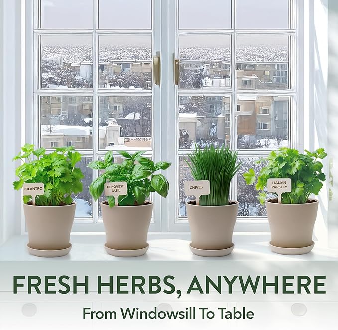 HOME GROWN Indoor Herb Garden Kit – Unique Christmas Gift for Adults, Men, & Women - Grow 4 Heirloom Herb Seeds for Kitchen Window Garden – Beginner DIY Craft & Hobby Gardening Gift for Plant Lovers