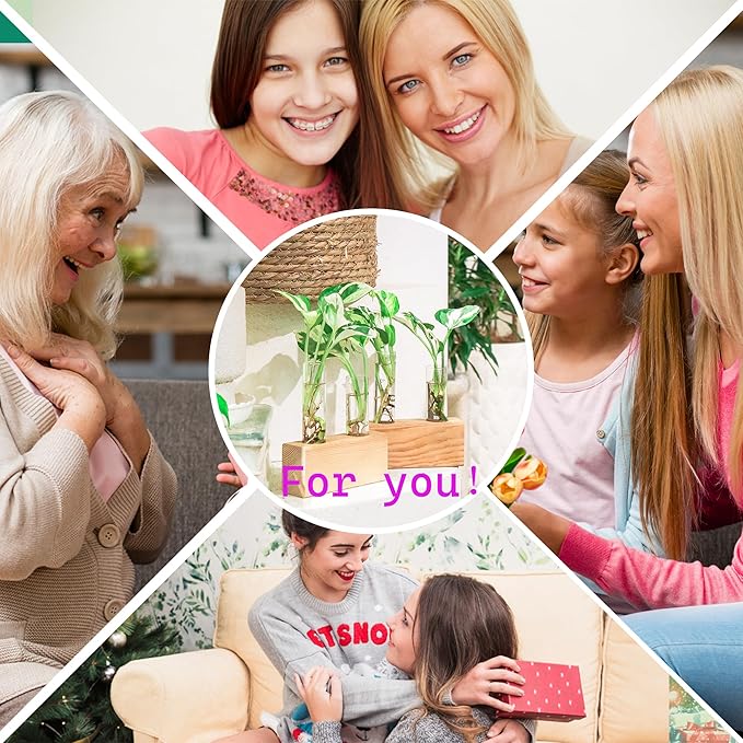 Ivolador Propagation Stations Double Test Tube Plants Terrariums in Wooden Stand Propagation Station for Hydroponic Plants Office Home Decoration