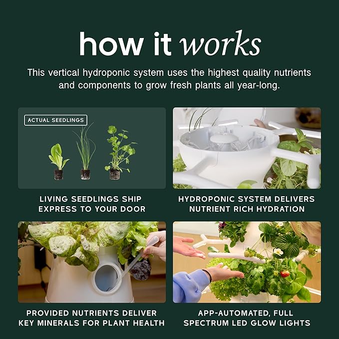 Farmstand Nook 4ft.7” Vertical Hydroponic Garden Tower - Self-Watering, Vertical Hydroponic Tower with LED Grow Lights, 20 Live Seedlings, Smart Timer - Indoor Vertical Growing Tower