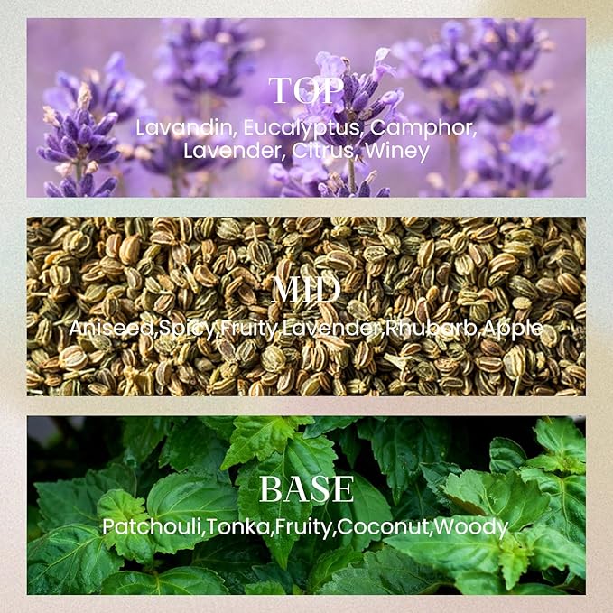 M&SENSE 6.3 oz Large Reed Diffuser Set | Lavender Eucalyptus Scent Oil Diffuser with Sticks | Hotel Collection Non-Toxic Essential Oil |for Bedroom Bathroom Living Room