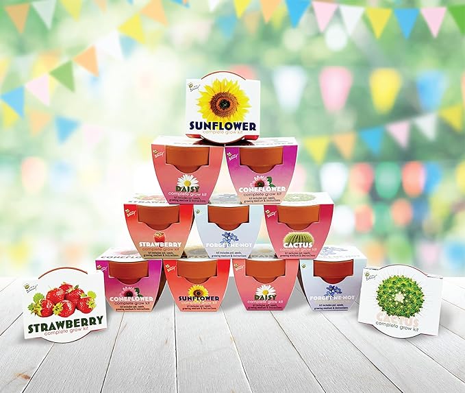 BUZZY Seeds Terracotta Mini Grow Pots | Herb, Plant, Flower Starter Kit for Kids & Adults | Assorted 12-Pack, Classic Collection | Guaranteed to Grow | Best Indoor-Outdoor Gardening Gift