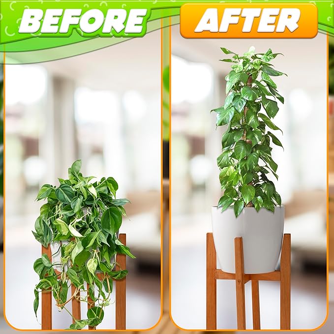2 Pack Moss Pole Monstera Plant Support 12” Each Moss Plant Pole Moss Poles for Climbing Plants Monstera Support Pole Plant for Indoor Plants Moss Sticks for Indoor Plants Climbing Plant Poles