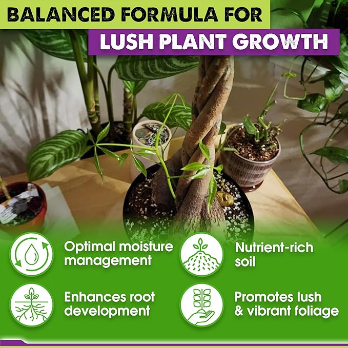 DUSPRO Recycle Money Tree Soil Indoor, Premium Coco Coir Perlite Mix and Pine Bark for Money Tree, Ideal Money Tree Soil for Healthy Growth and Nourishment (6 Quarts)