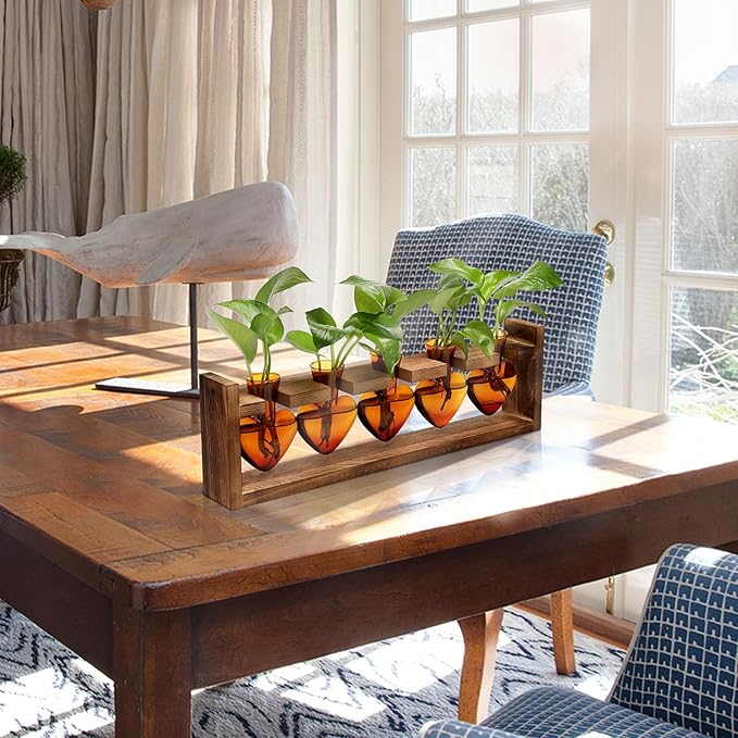 Plant Terrarium Hanging Propagation Stations Gift for Women Plant Lover air Plant Holder with Wooden Stand Heart Glass