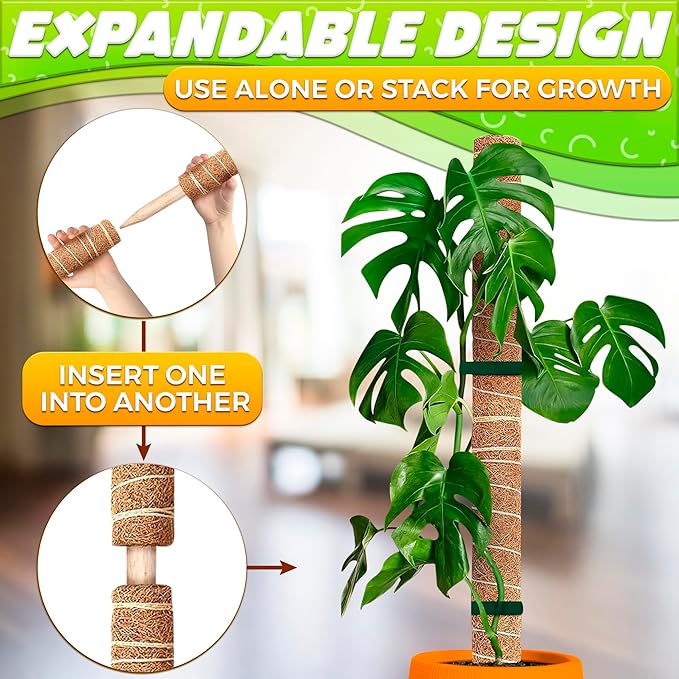 2 Pack Moss Pole Monstera Plant Support 12” Each Moss Plant Pole Moss Poles for Climbing Plants Monstera Support Pole Plant for Indoor Plants Moss Sticks for Indoor Plants Climbing Plant Poles