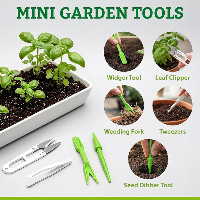 Gardening Gift for Women – 39 Medicinal Herb Seeds Variety Pack, Heirloom Non-GMO, Made in USA, Botanical Gift Set