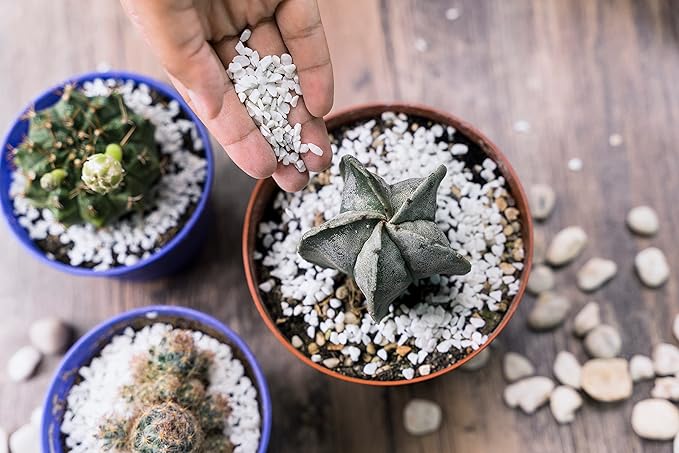 Professional Perlite | Large 2.2 Quarts | Medium Grade for Container and Garden Plants | pH Neutral Lightweight Soil Additive | Made in USA