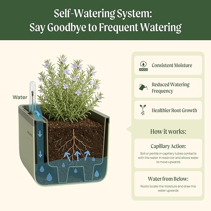 Vego garden Herb Planter Indoor Box with Trellis Self-Watering Raised Garden Bed for Climbing Vegetables Plants Cage - Cream White