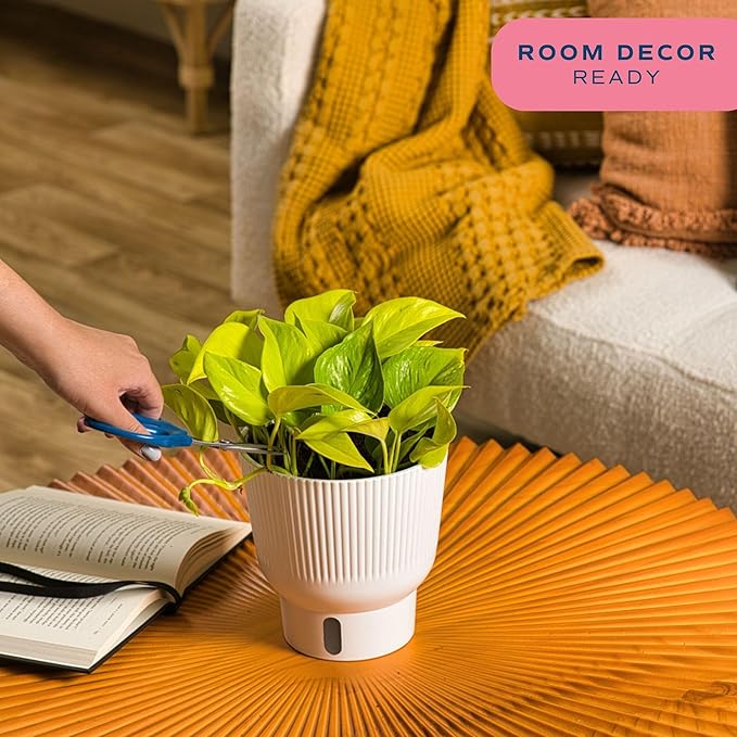 Costa Farms Lemon Top Pothos Live Plant in Self Watering Pot, Indoor Houseplant, Perfect for Home, Room, or Office Decor, Great House Warming or Birthday Gift, 10-12 Inches Tall