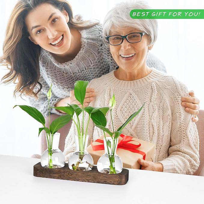 YIBOT Propagation Stations,Plant Propagation Vase,Desk Plant Terrarium with Retro Wooden Stand,Plant Lover Gifts for Women for Hydroponics Plants Home Garden Wedding Decor(3 Vase)