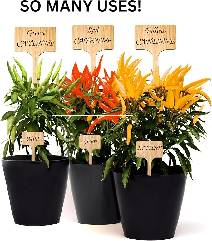 10 Pack 8 Inch Tall Plant Labels Large Garden Markers Plant Name Tags for Flowers, Herbs, Vegatables, Seeds, Bulbs Easy to See Larger Writing Area with Full Size Marker