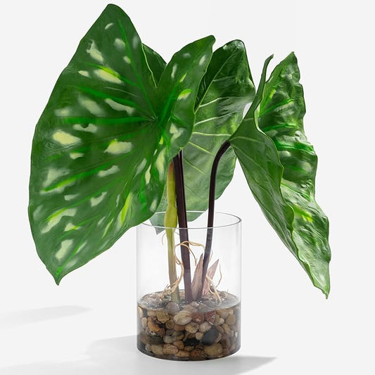 SUNPRAIRIE Tropical Artificial Plant in Clear Pot with Artificial Water, Wide Arrowhead Leaves. Faux Plants Indoor and Outdoor