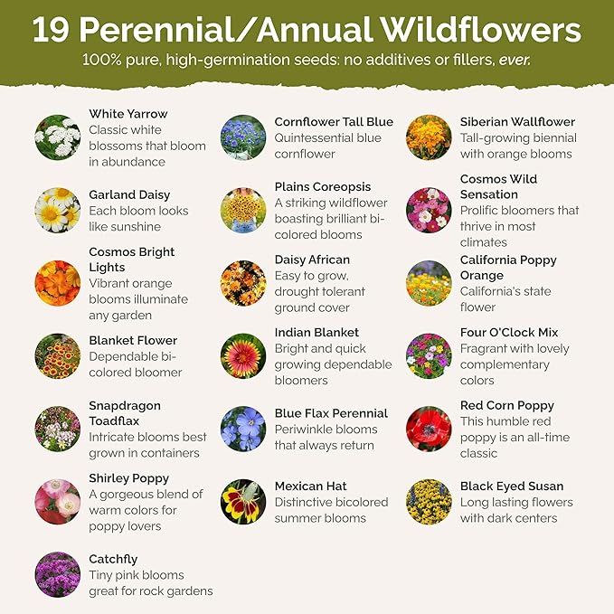 Eden Brothers Dry Area Wildflower Mixed Seeds for Planting, 25 lb, 12,000,000+ Seeds with Cosmos, African Daisy, Blue Flax, Attracts Pollinators, Plant in Spring or Fall, Zones 3, 4, 5, 6, 7, 8, 9, 10