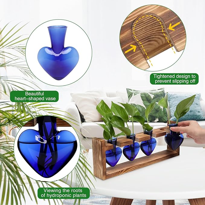 Plant Propagation Stations Heart Plant Terrarium Kit Gift for Women Plant Lover Glass Vases