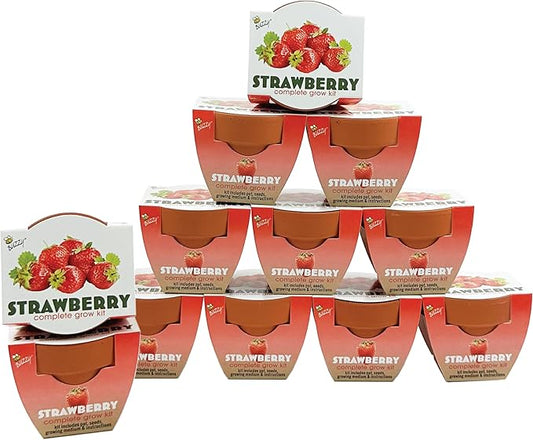 BUZZY Seeds Mini Terracotta Grow Pots | Alpine Strawberry DIY Plant Kit for Kids & Adults | 12-Pack Classic Collection | Indoor and Outdoor Planting, Wedding Favors, Gardening Gift