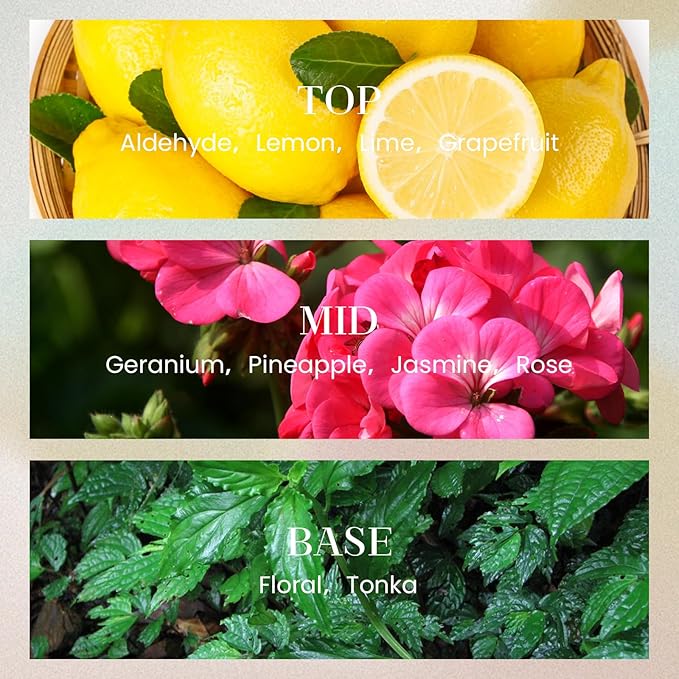 M&SENSE 10.14 oz Large Reed Diffuser Set | Fresh Grapefruit Scent Home Oil Diffuser with Sticks |Hotel Collection Non-Toxic Essential Oil |for Bedroom Bathroom Living Room