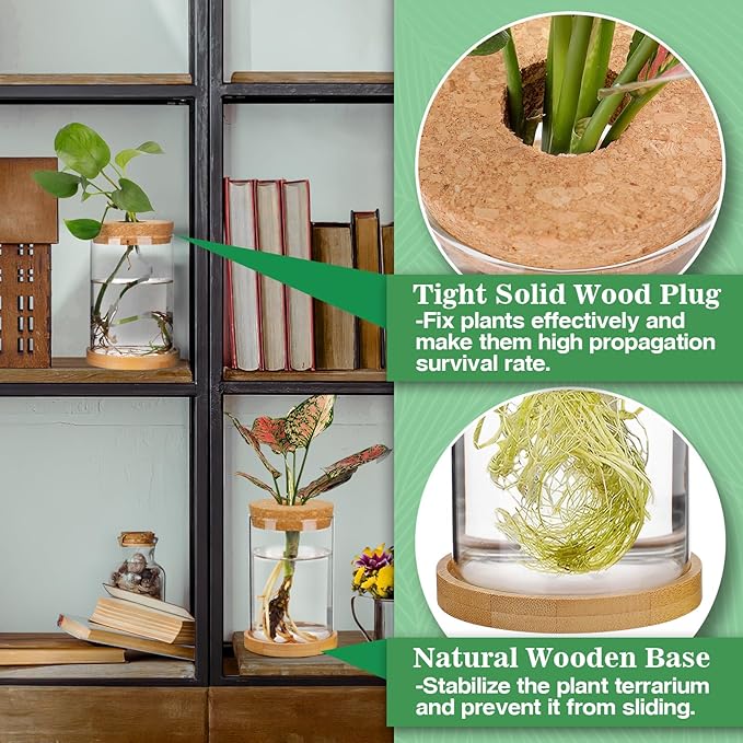 Biggun Plants Propagation Station - 2Pcs Desktop Plant Terrarium Glass Hydroponic Vases, Water Plant Jars, Gardening Gifts for Women Mom Plant Lovers (Thick Straight Shape, Separated Tray Style)