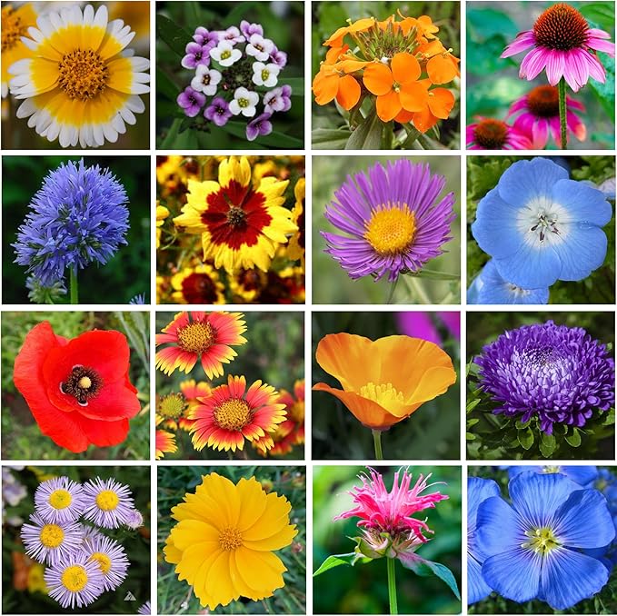 Save The Bees Wildflower Seeds – 1oz Packet (15,000+ Seeds, Covers 100 Sq Ft) | 18 Flower Varieties, Annual & Perennial | Organic, Non-GMO | Bee Friendly Garden & Potting Mix for Pollinators