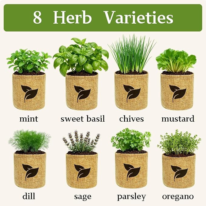 Organic Indoor Herb Garden Start Kit - Unique Gifts for Women, Christmas Gifts for Adults, Easy House Plant- Birthday for Women,House Warming Gift New Home- Fresh Herb Garden DIY Crafts for Adults