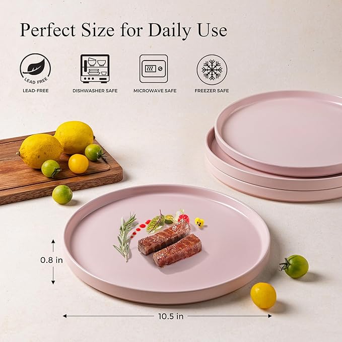 AmorArc Ceramic Dinner Plates Set of 6,10.0 Inch Matte Stoneware Plates for Kitchen,Modern Flat Dinnerware Dishes Set,Microwave& Dishwasher Safe, Scratch Resistant, Matte Pink