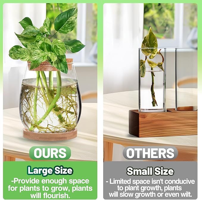 Biggun Plants Propagation Station - 2Pcs Desktop Plant Terrarium Glass Hydroponic Vases, Water Plant Jars, Gardening Gifts for Women Mom Plant Lovers (Water Drop Shape, Separated Tray Style)