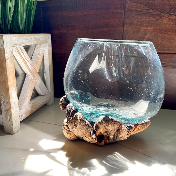 Melted Glass on Burl Wood Decorative Bowl, Vase, and Terrarium Planter - Approximately 5 Inches High - Nature-Inspired Artistry for Home and Garden