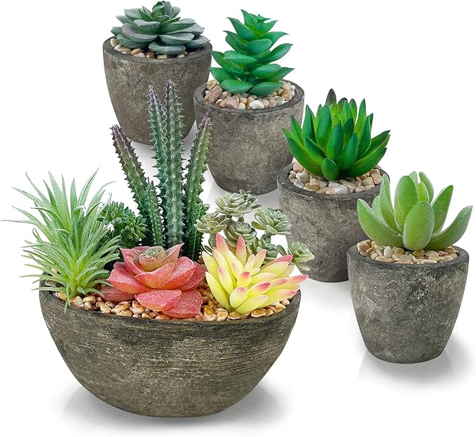 Succulents Plants Artificial Set of 5, Realistic Fake Succulents with Cement Like Pots for Home Office Decoration.