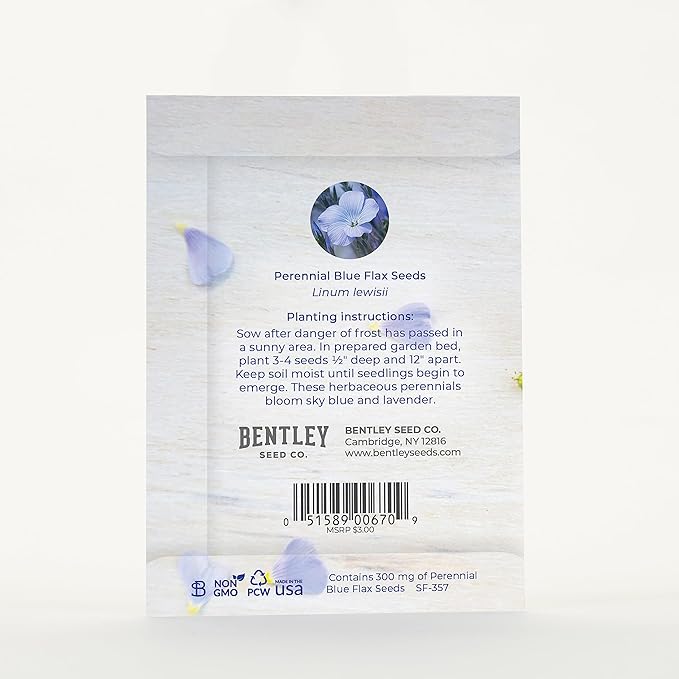 Bentley Seed Co. | in Remembrance Love Left Behind | Non-GMO, Non-Coated Blue Flax Seed Packets | Memorial & Funeral Keepsake | Linum Lewisii