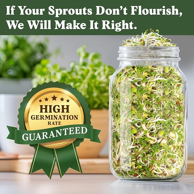 Seedboy Sprouting Kit Bundle - Sprouts Growing Kit with Jar, Lid, Stand and Organic Salad Blend Seeds (8 oz Bag, 24 Servings) - Non-GMO, USA Grown Microgreens - (Sprouting Jar/Salad Blend)