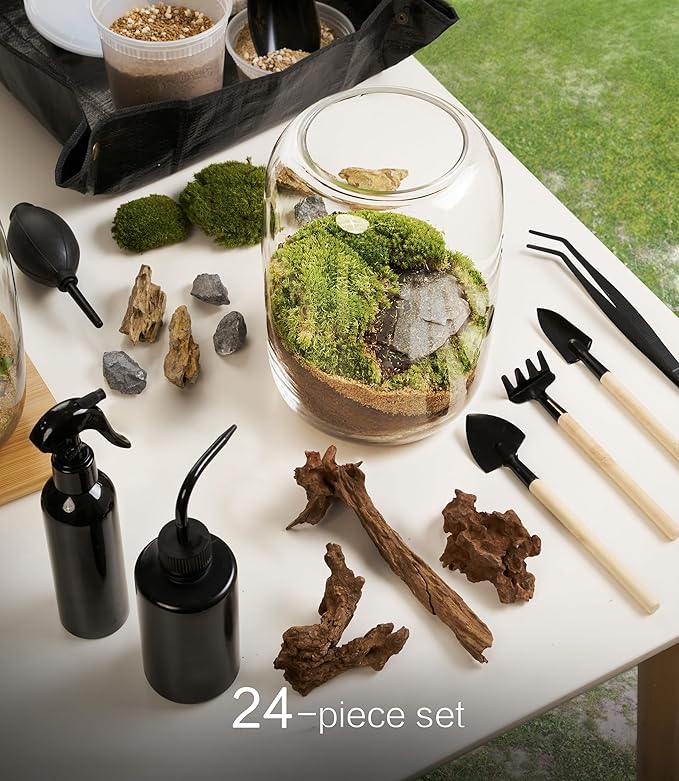 Terrarium Kit/Supplies Terrarium Plants Set with Grow Light, for Succulents Miniature Gardening, Include Terrarium jar Tool Set Live Moss Rocks Soil Driftwood and Decor, for Plant Lovers
