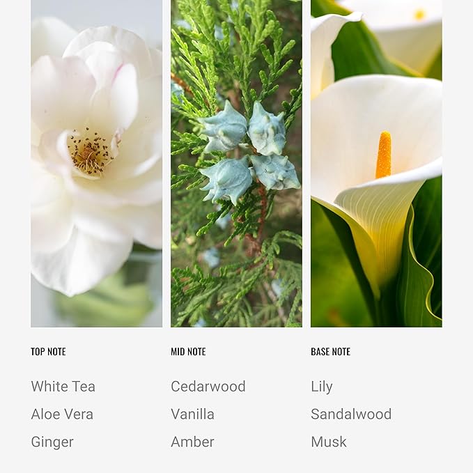 Hotel Collection - Dream On - Reed Diffuser Set - Luxury Aromatherapy Diffuser - Hints of Bright White Tea, Sweet Vanilla, & Cedarwood - Essential Oil Diffusers - Shelf Decor - 100mL/3.5 FL Oz