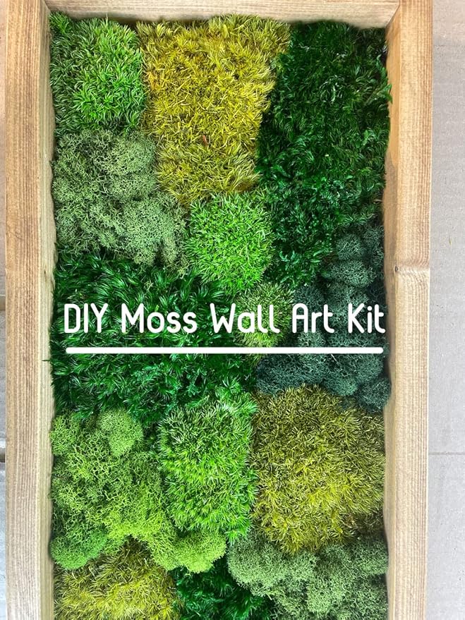 Preserved Pole Moss Pillow Bun Cushion Natural Green Decorative Real Natural DIY Kit Gardenning Art Wall Decor Florist Easter Table Decor Wedding(1.5 sq.ft, Green-C)