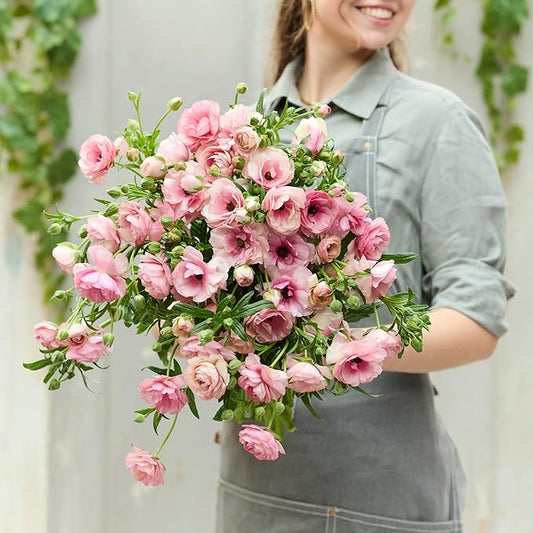 Eden Brothers Butterfly Ranunculus Bulbs - Hera®