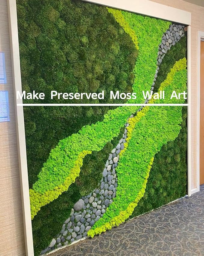 Preserved Pole Moss Pillow Bun Cushion Natural Green Decorative Real Natural DIY Kit Terrariums Garden Art Wall Florist Easter Wedding Decor (1.5 sq.ft., Green-A)