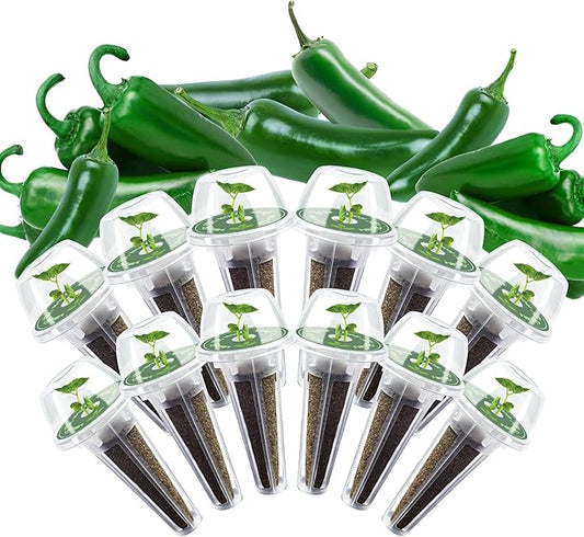 Jalapeno Pepper Seed Pods Kit, 12 Pods Grow Anything Kit for Indoor Hydroponics Growing System, Hydroponics Supplies with 12 Grow Sponges, 12 Plant Baskets, 12 Pod Domes and Labels