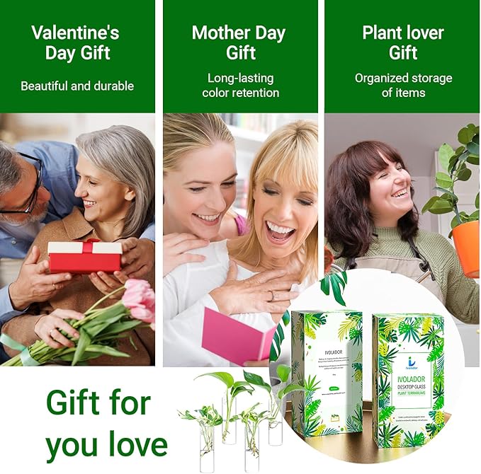 Propagation Station, Plants Terrarium, Plants Lover Gifts for Women,Plant Cutting Holder Home décor,Gifts for Women,House Warming New Home-4 Cylinder Shape