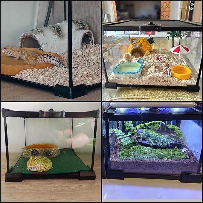 BNOSDM Reptile Tank,8" x 8" x 6" Mini Reptiles Terrarium,Full View Young Lizard Glass Tank,Small Amphibians Habitat Enclosure Cage for Tarantula,Frog,Hermit Crab,Isopods,Insects Breeding Box