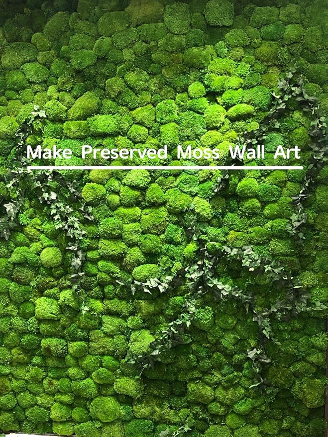 Preserved Pole Moss Pillow Bun Cushion Natural Green Decorative Real Natural Green DIY Kit Terrariu7r Table Decor Wedding (10.5 sq.ft., Green-B)