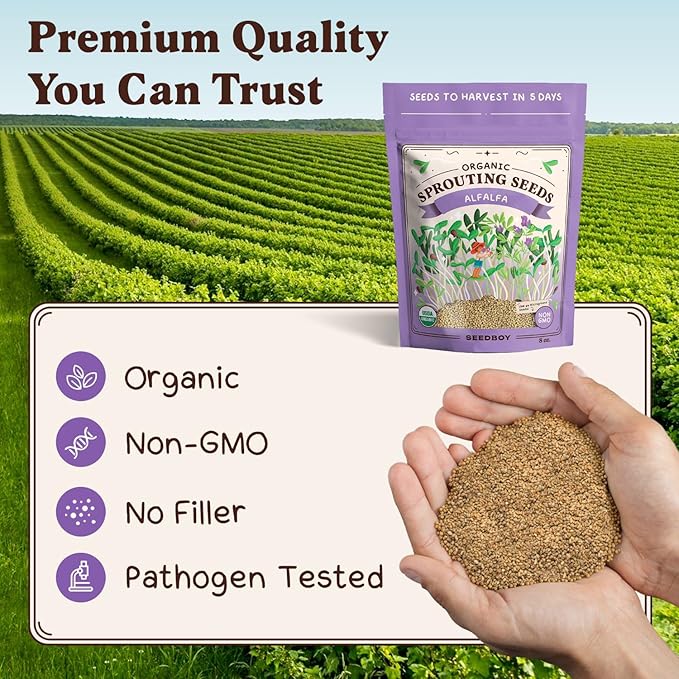 Seedboy Organic Alfalfa Seeds for Sprouting - Non-GMO, USDA Organic Microgreens Sprouting Seeds Mix - Makes 8 Quarts of Sprouts, 24 Servings (8 oz) (Alfalfa)