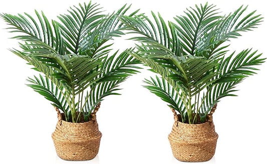 LOMANTO Fake Majesty Palm Plant 2Ft Artificial Plants for Home Decor Indoor Small Faux Trees in Pot Fake Tropical Plants for Housewarming Gift 2Pack